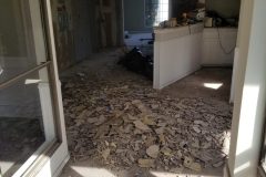 20200202_145253-scaled